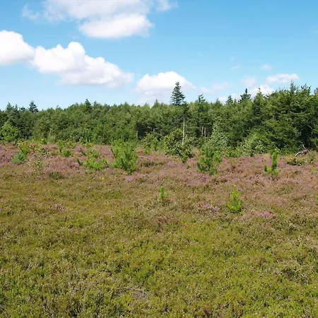 C11213-hemmet-alpehuen-4 بيت للعطل Hemmet